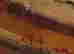 item-118269955=5
