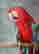 item-118269961=4