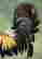 item-118269962=2