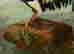 item-118269962=3