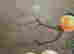 item-118269971=4