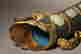item-118270117=19