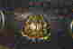 item-118270242=4