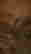 item-121895033=4