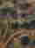 item-121895034=4