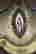 item-105907633=6