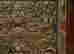 item-131188491=4