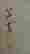 item-133805414=11
