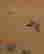 item-133805753=3