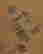 item-133805753=4