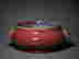 item-137620029=4