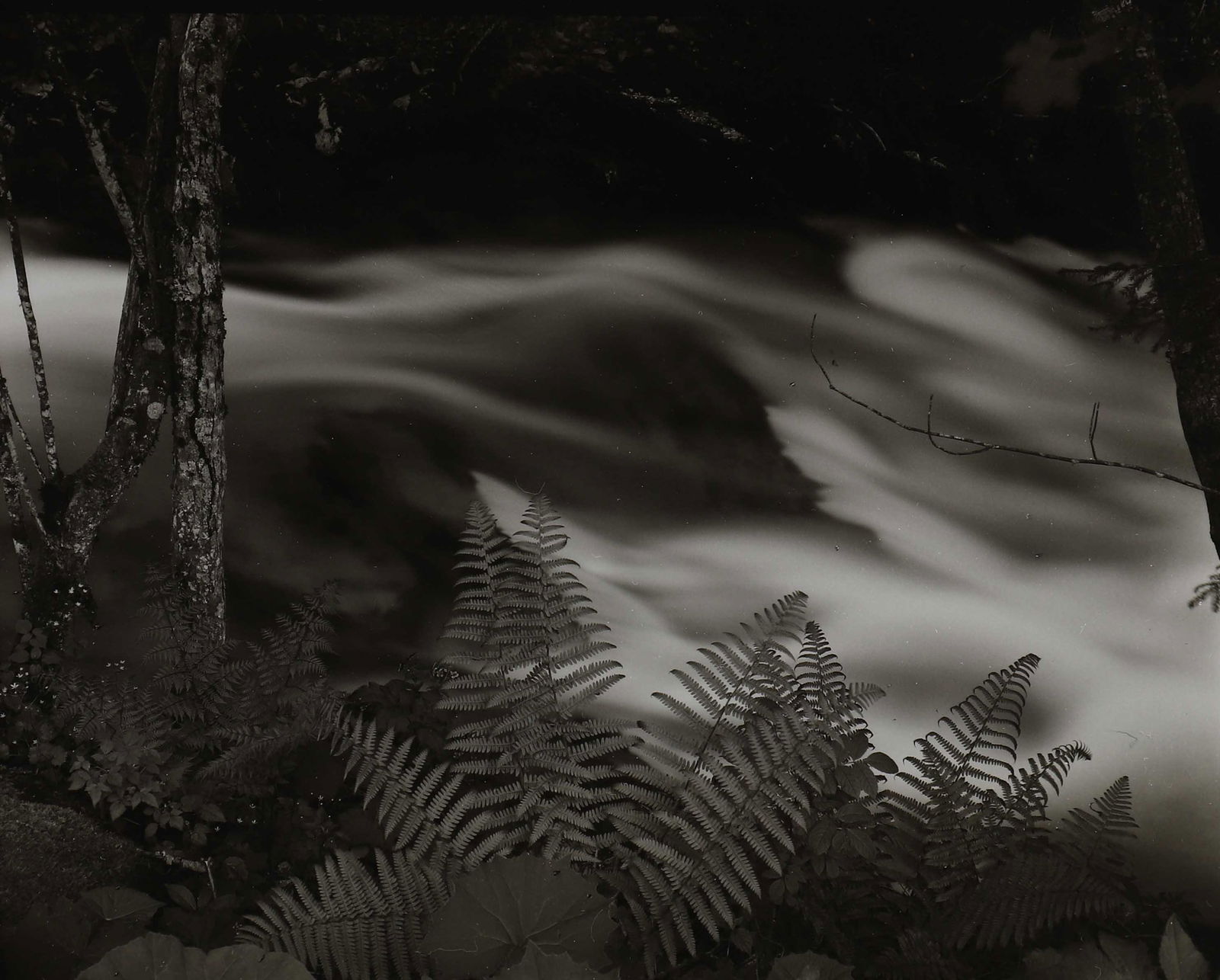 PHOTOGRAPHIES ANCIENNES & MODERNES (1 of 4)