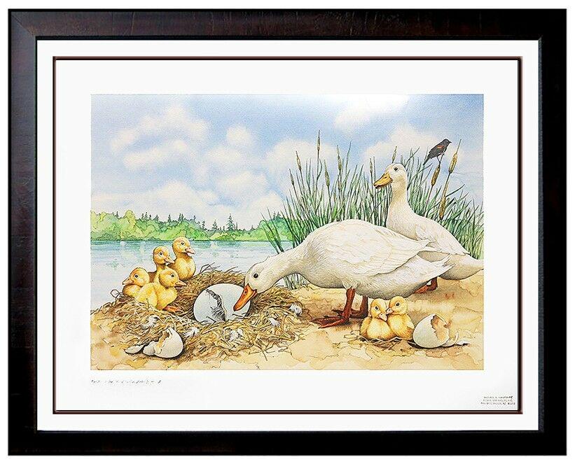 Michael Hampshire Ugly Duckling Original Illustration Painting Framed Artwork (1 of 6)