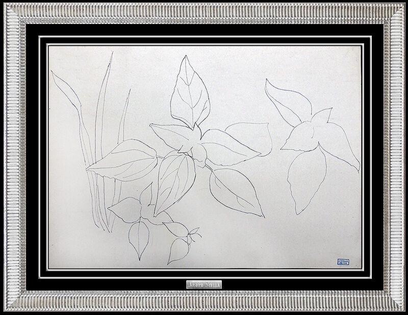 Joseph Stella Authentic Original Ink Drawing Floral Still Life Artwork Painting (1 of 5)