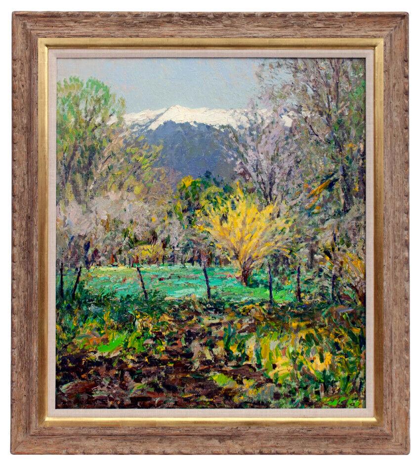 ROD GOEBEL Original OIL PAINTING On CANVAS Signed SOUTHWEST LANDSCAPE Art (1 of 4)