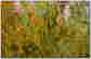 item-137344014=3