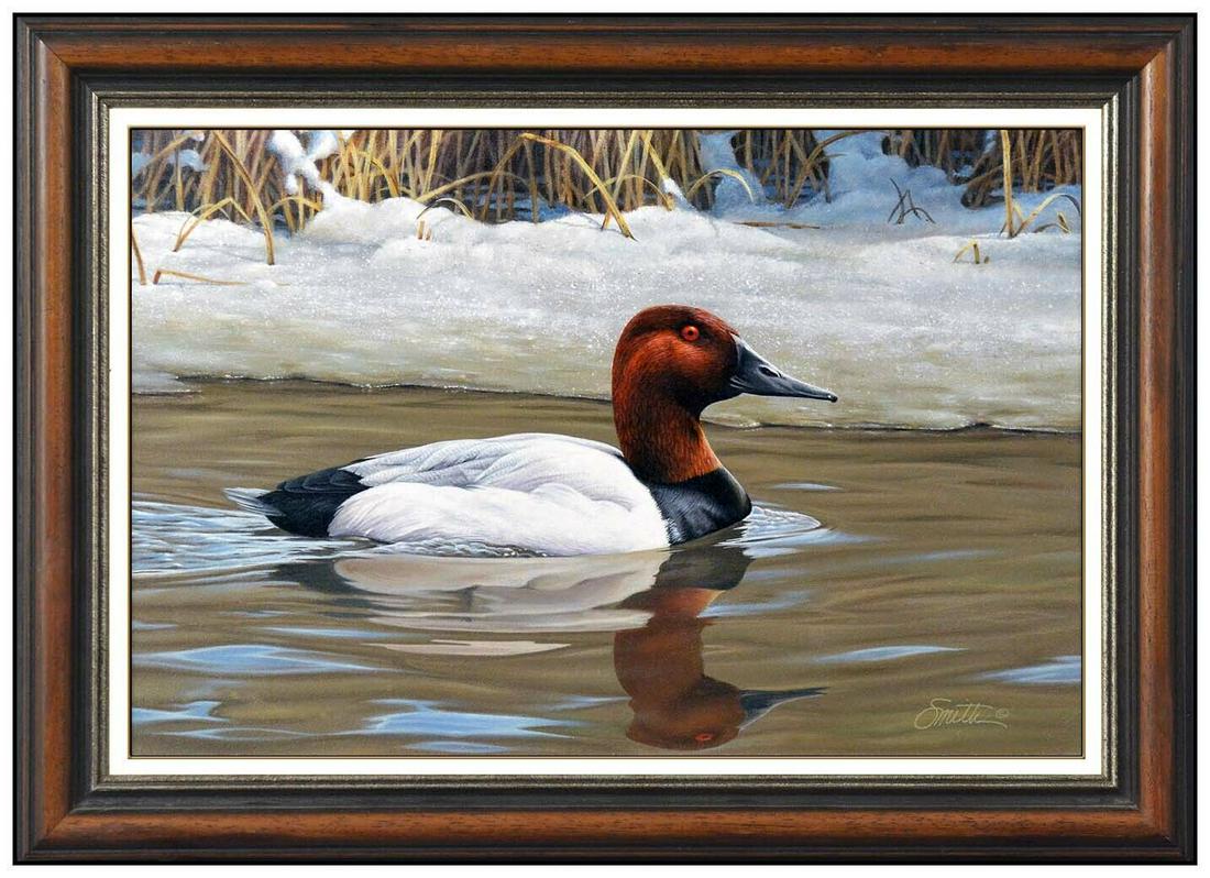 Daniel Dan Smith Original Oil Painting On Board Duck Bird Wildlife Signed Art: This lot includes: Gallery COA & free domestic shipping (*insurance and international shipping for an additional charge)Artist: Daniel Dan Smith Title: Breeding Canvasback Medium: Oil Painting On Boar