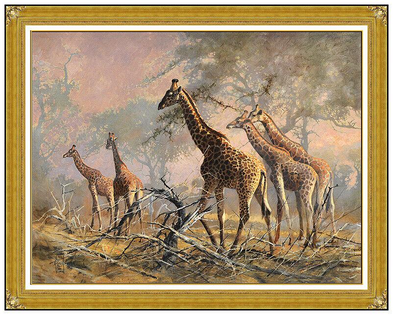 Kobus Moller Original Wildlife Giraffe Painting On Board Signed Framed Artwork (1 of 5)