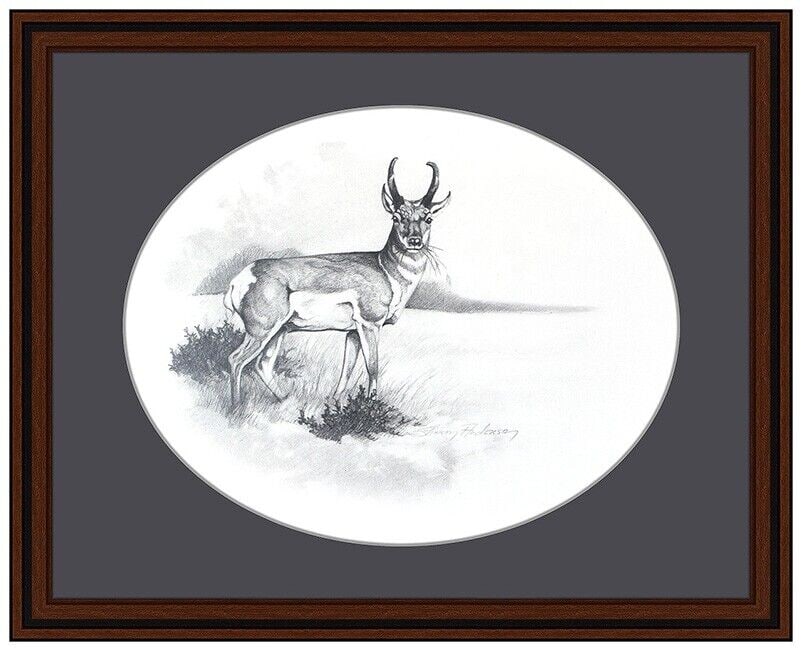 Sharon Anderson Original Drawing Signed Pronghorn Antelope Nature Framed Artwork (1 of 4)