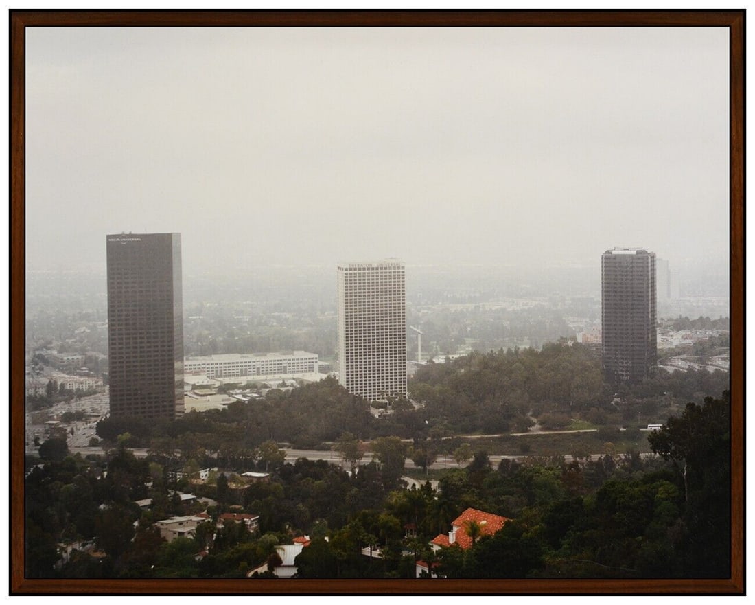 Elad Lassry C-Print Photograph Landscape 9160 Signed Artwork Authentic Framed: This Lot Includes:Gallery Coa & Free Domestic Shipping (*Insurance And International Shipping For An Additional Charge)Artist: Elad LassryTitle: Landscape 91608Medium: C-Print PhotographSize: 11 &frac