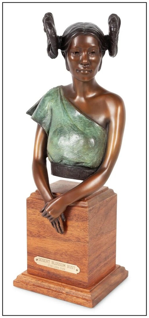 Star Liana York Original Bronze Sculpture Desert Blossom Bust Native American (1 of 5)