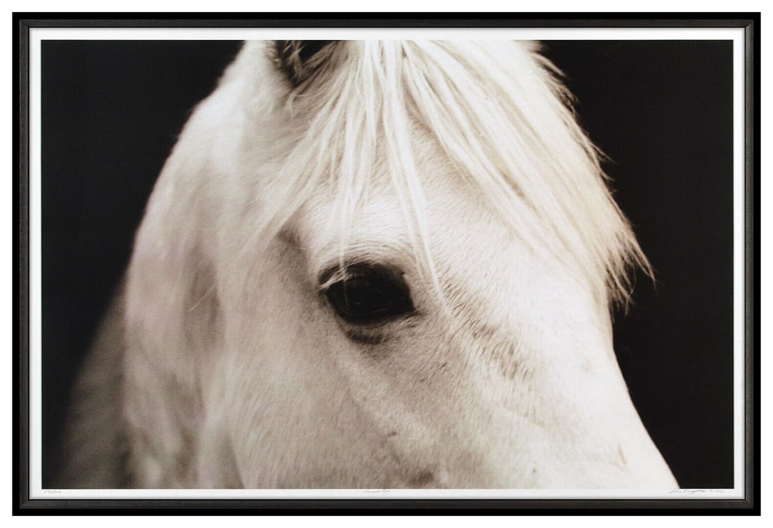 John Maggiotto Large Giclee Horse Eye Hand Signed Animal Horse Framed Artwork (1 of 6)