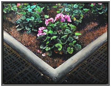 Idelle Weber Large Original Oil Painting On Canvas Floral Signed Framed Artwork