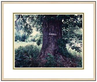 Birney Imes Original Photograph Chromogennic Bi I Tree Hand Signed Framed Art