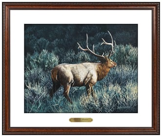 Jan Martin Mcguire Original Painting On Board Animal Wildlife Signed Framed Art