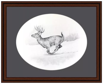 Sharon Anderson Original Drawing Signed Wildlife Deer Buck Nature Framed Artwork
