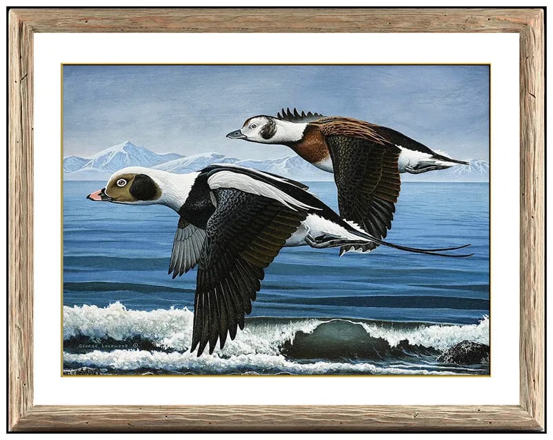 George Lockwood Original Wildlife Duck Portrait Oil Painting on Board Signed (1 of 4)