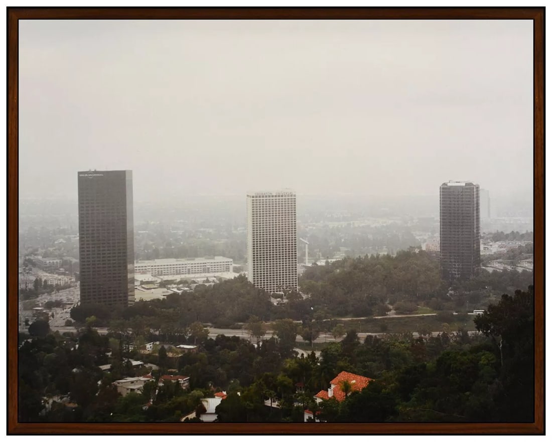 Elad Lassry Original Signed C-Print Photograph Landscape Framed Art: This lot includes:Gallery COA & free domestic shipping (*insurance and international shipping for an additional charge)Artist: Elad LassryTitle: Landscape 91608Medium: C-Print PhotographSize: 11 &frac