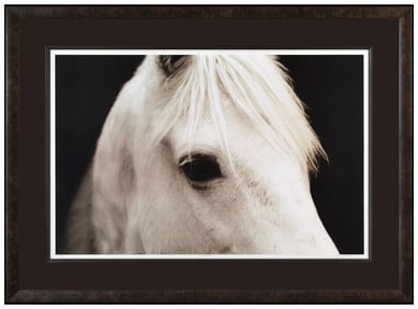 John Maggiotto Horse Eye Giclee Signed Framed
