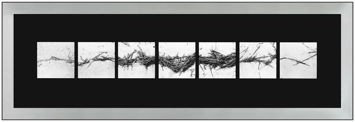 Barbara Crane Repeats Silver Gelatin Still Life Photo Signed Framed