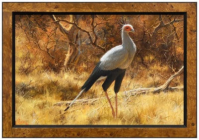 Paul Rose Original Wildlife Oil Painting on Canvas Signed Framed Artwork