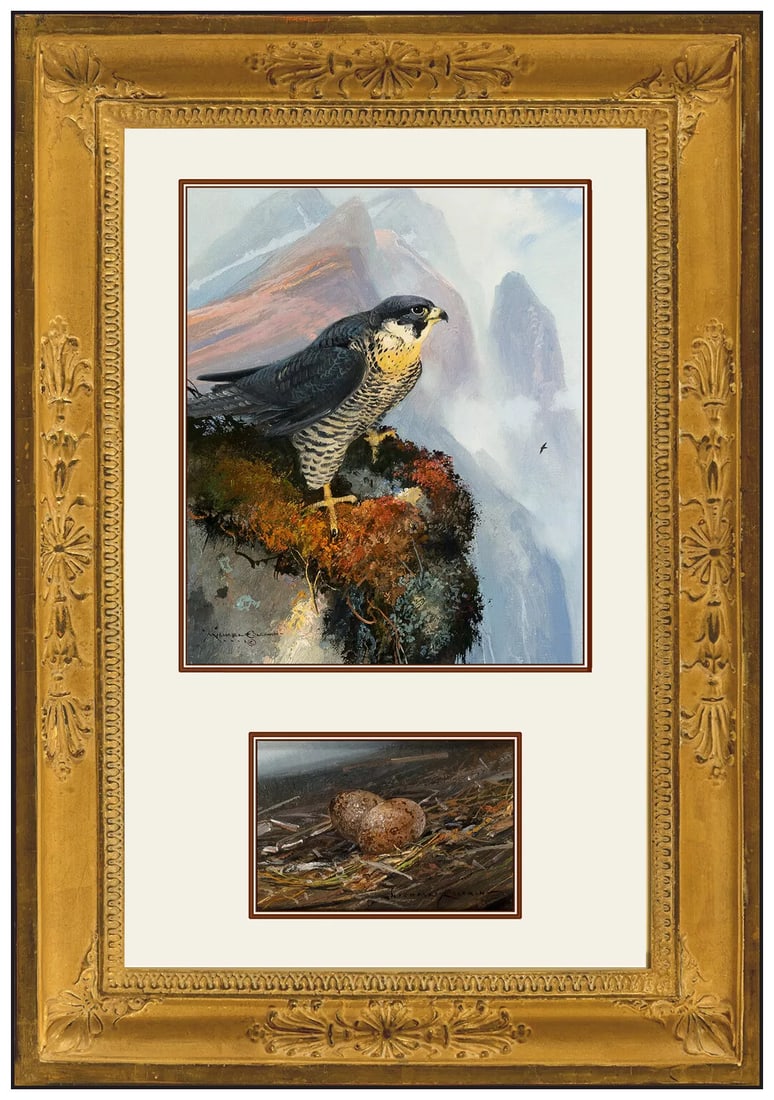 Michael B Coleman Two Oil Paintings on Board Bird Landscape Wildlife Signed Artworks (1 of 5)