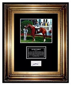 Secretariat Triple Crown Winner Big Red Horse Racing Hair Lock Charity Framed