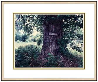 Birney Imes Chromogenic Bi I Tree Photograph Hand Signed Framed Artwork