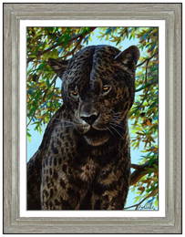 Guy Coheleach Original Wildlife Animal Oil Painting Signed Framed Rare Board