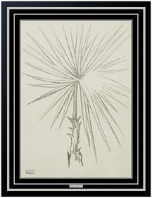 Joseph Stella Original Charcoal Flower Drawing Signed Rare Still Life Framed
