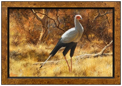 Paul Rose Original Wildlife Portrait Oil Painting Signed Framed on Canvas