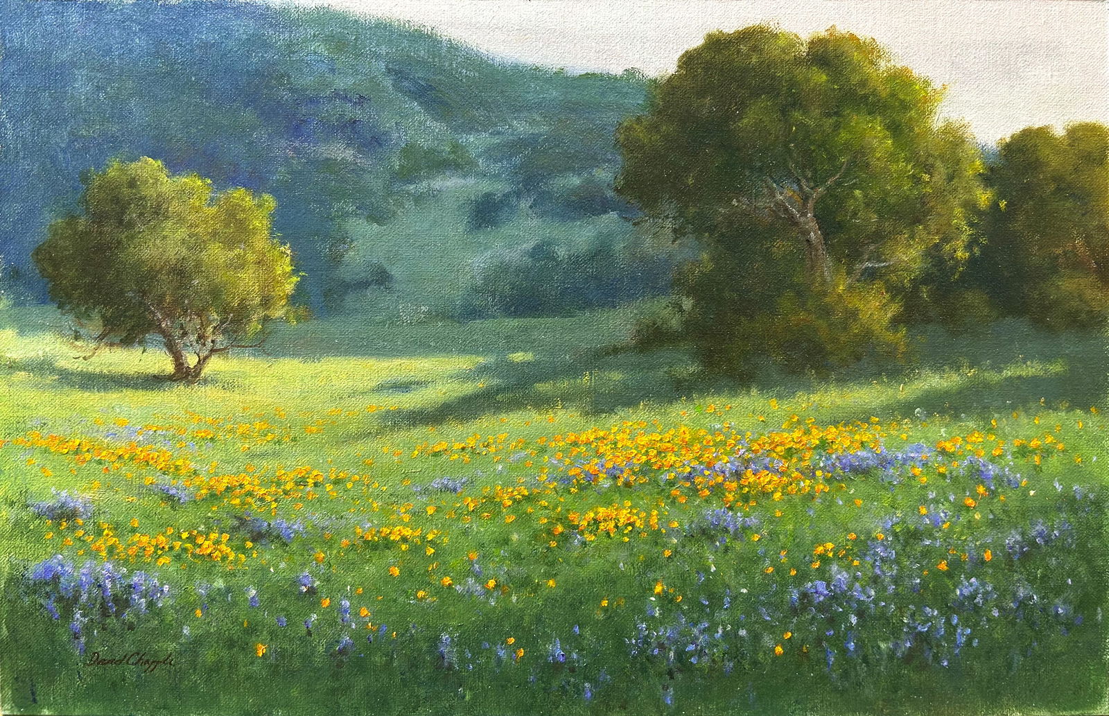Dave Chapple Morning Light Original Signed Landscape Oil Painting on Linen (1 of 2)
