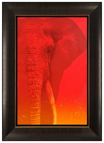 Adam Scott Rote Original Elephant Animal Acrylic Painting Signed Framed Canvas