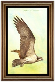 Noel L. Dunn Original Hawk Birds Wildlife Watercolor Painting Signed Framed Art
