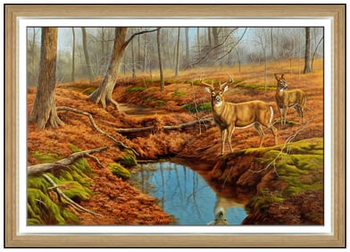 Judy Gibson Large Original Wildlife Deer Oil Painting Signed Framed Canvas