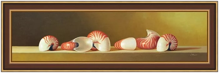 Gerald Stinski Original Shell Still Life Oil Painting Signed Framed Board