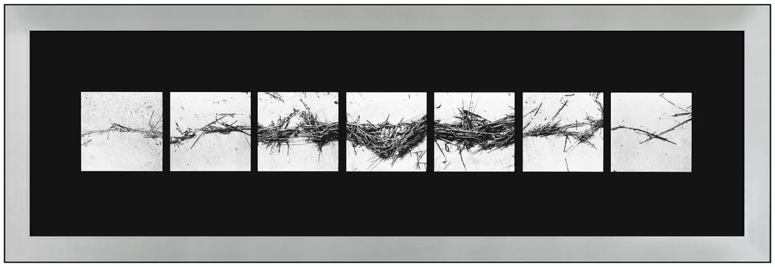 Barbara Crane Repeats Original Signed Silver Gelatin Still Life Photo Framed Art: This lot includes:Gallery COA & free domestic shipping (*insurance and international shipping for an additional charge)Artist: Barbara CraneTitle: RepeatsMedium: Silver GelatinFramed: 6” x 20&rd