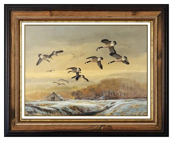 Ted Blaylock Original Oil Painting On Board Wildlife Birds Signed Framed Artwork