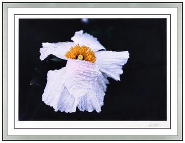Ernst Haas Original Dye Transfer Cosmos California Flower Signed Framed Artwork