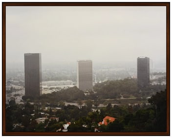 Elad Lassry C-Print Photograph Landscape 9160 Signed Artwork Authentic Framed